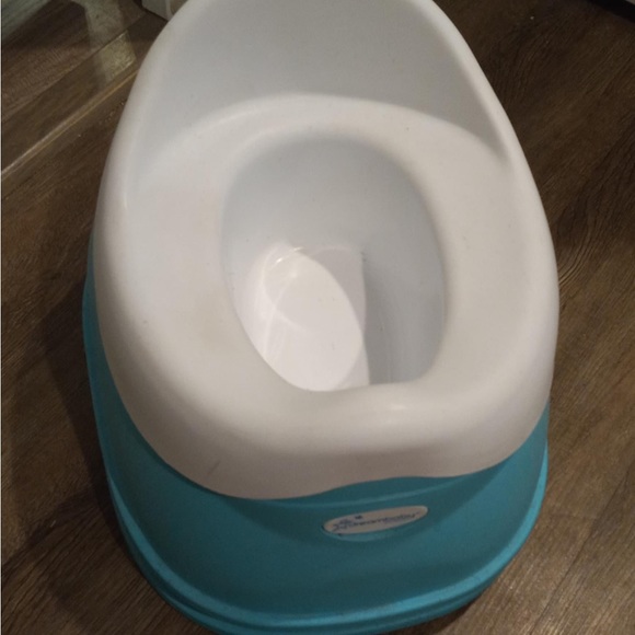 Potty Chair - Picture 1 of 1